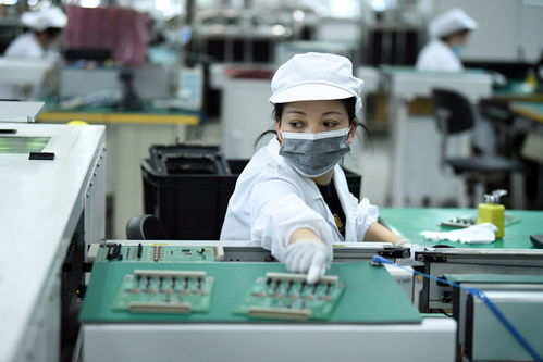 高質量發展調研行 生產一線看制造企業智改數轉網聯拍賣業務